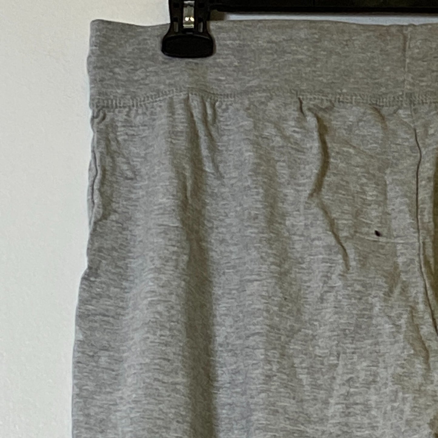 Champion Authentic Athletic Wear Jogging Pants Size Large Color Silver