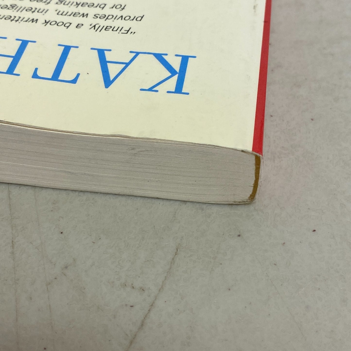 Breakdown, Breakthrough : The Professional Woman's Guide to Claiming a Life