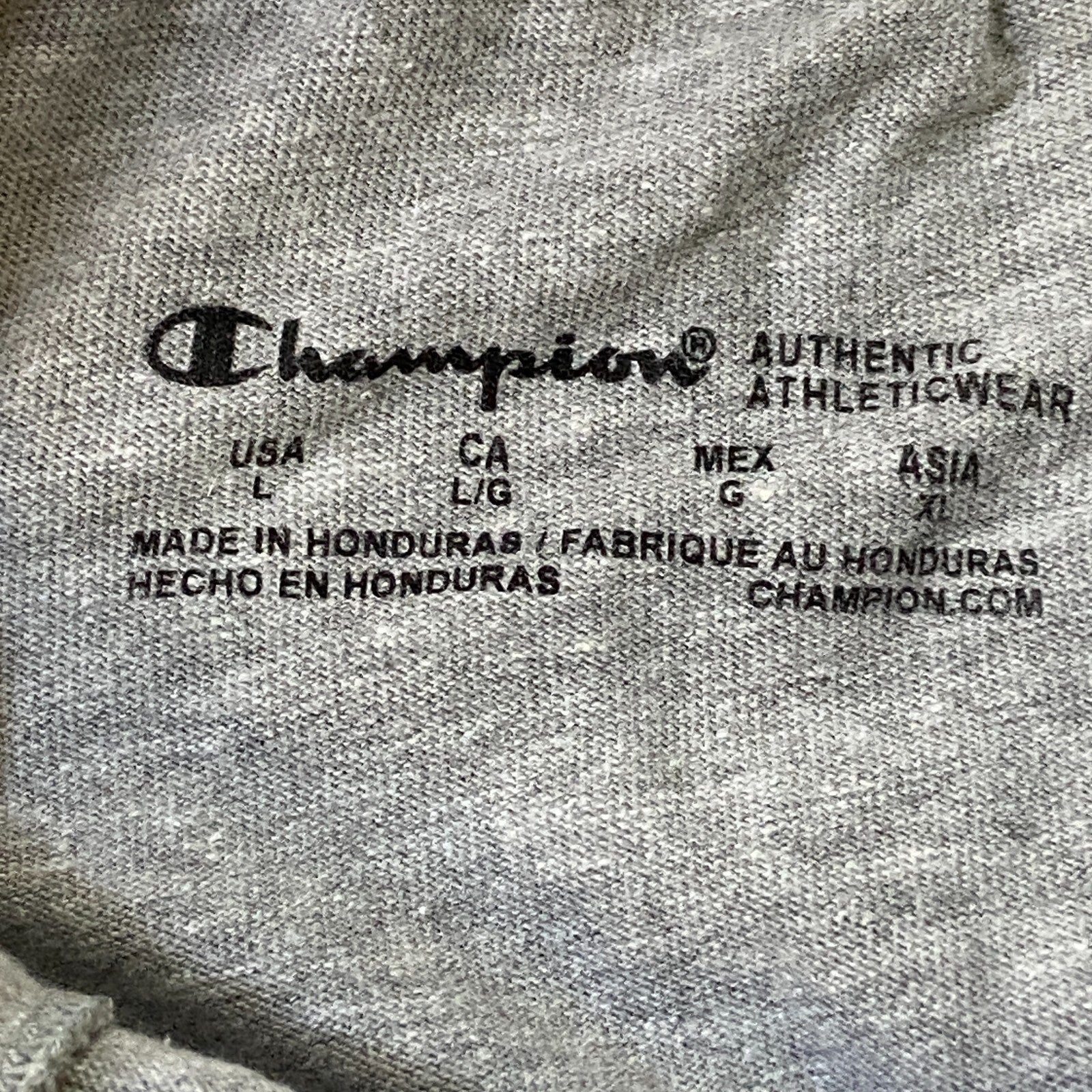 Champion Authentic Athletic Wear Jogging Pants Size Large Color Silver