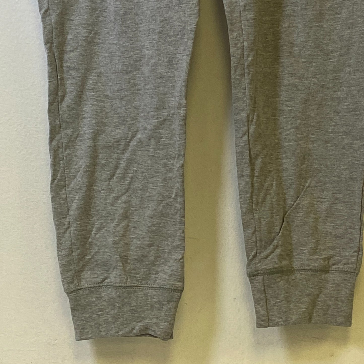 Champion Authentic Athletic Wear Jogging Pants Size Large Color Silver