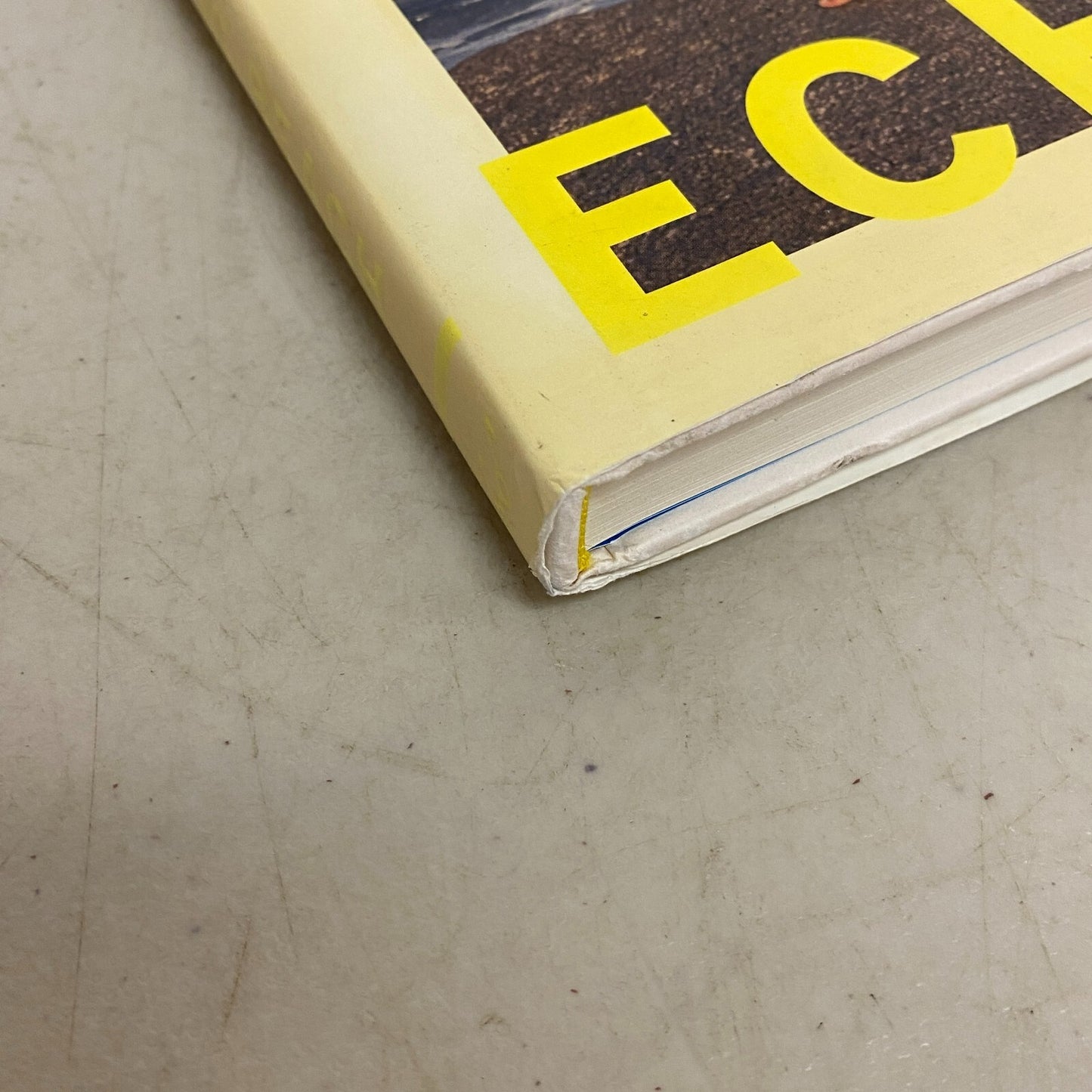 The Eighties at Echo Beach Hardcover "Errata" Edition