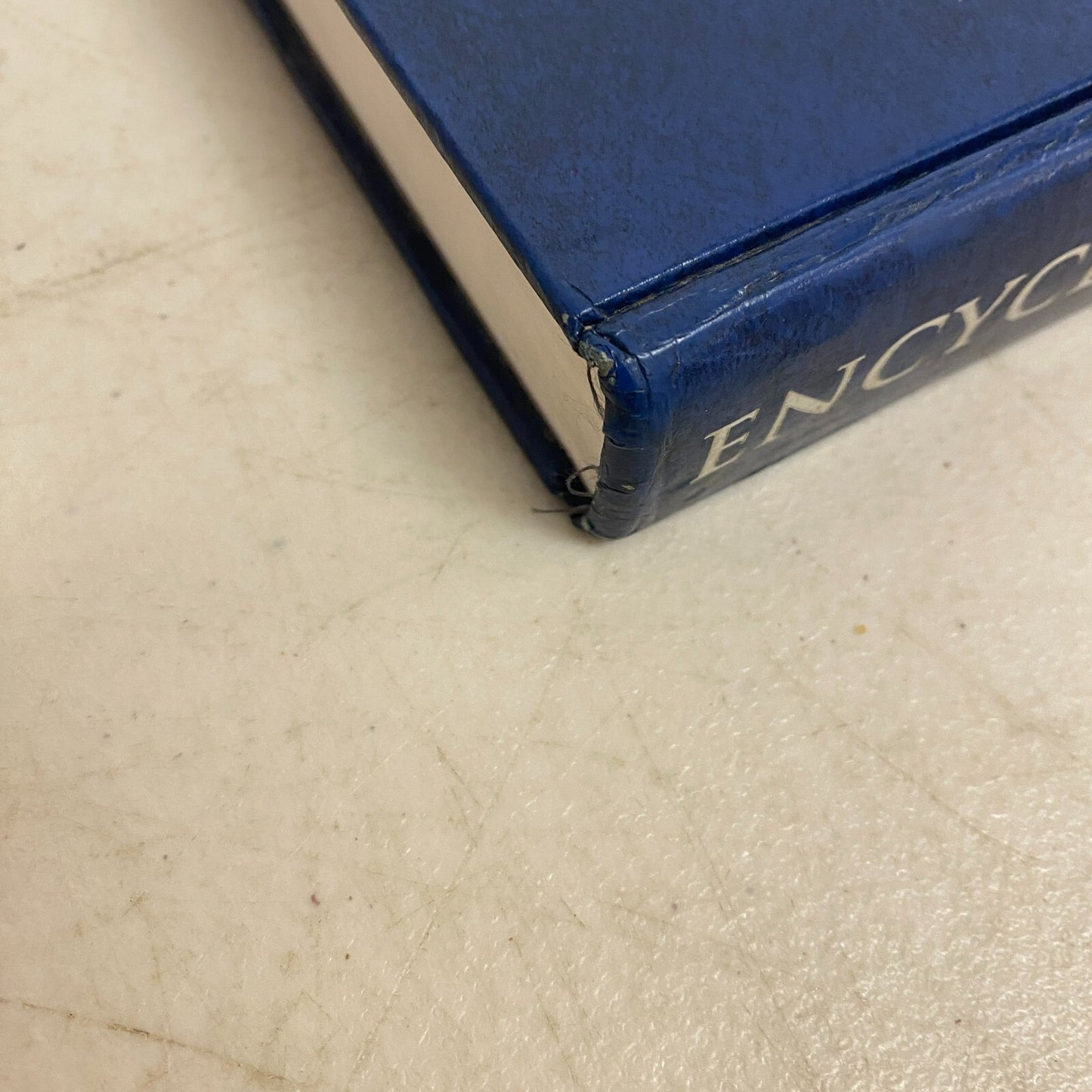 Encyclopedia of the Eye 1st Edition Hard Cover