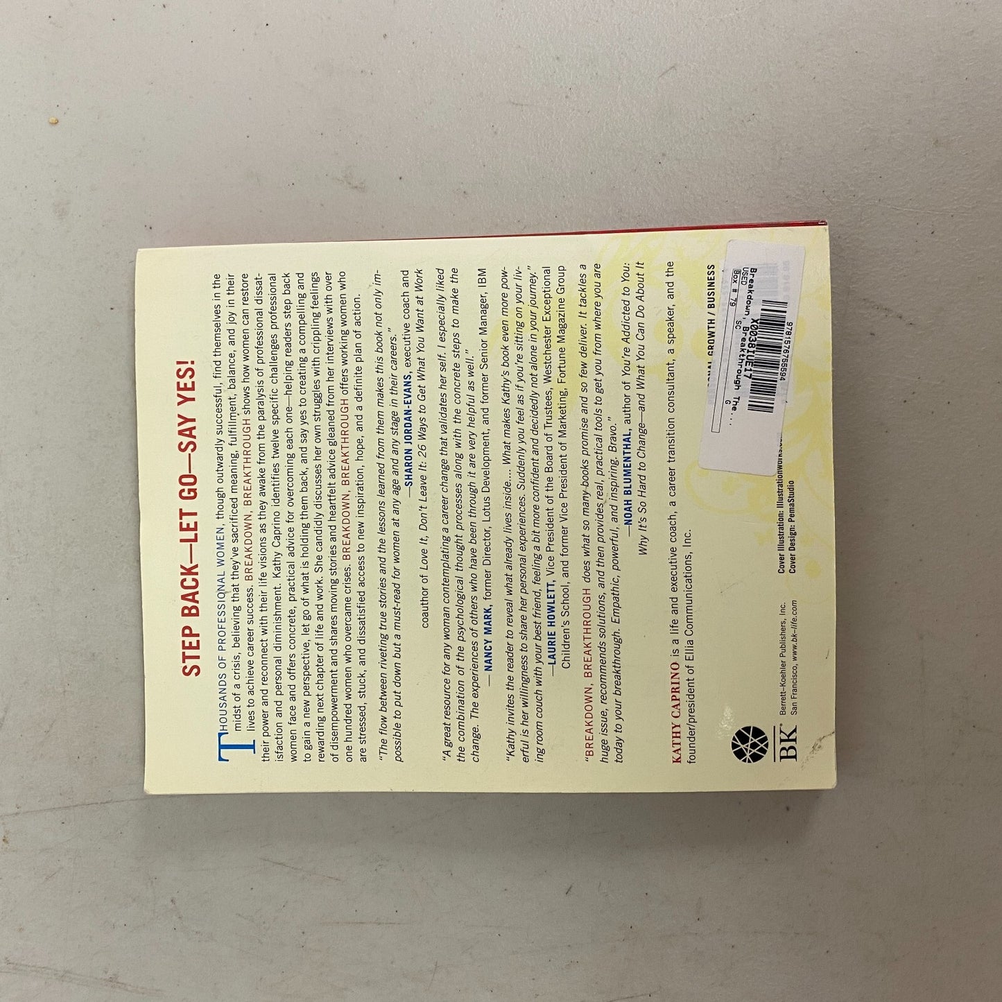 Breakdown, Breakthrough : The Professional Woman's Guide to Claiming a Life