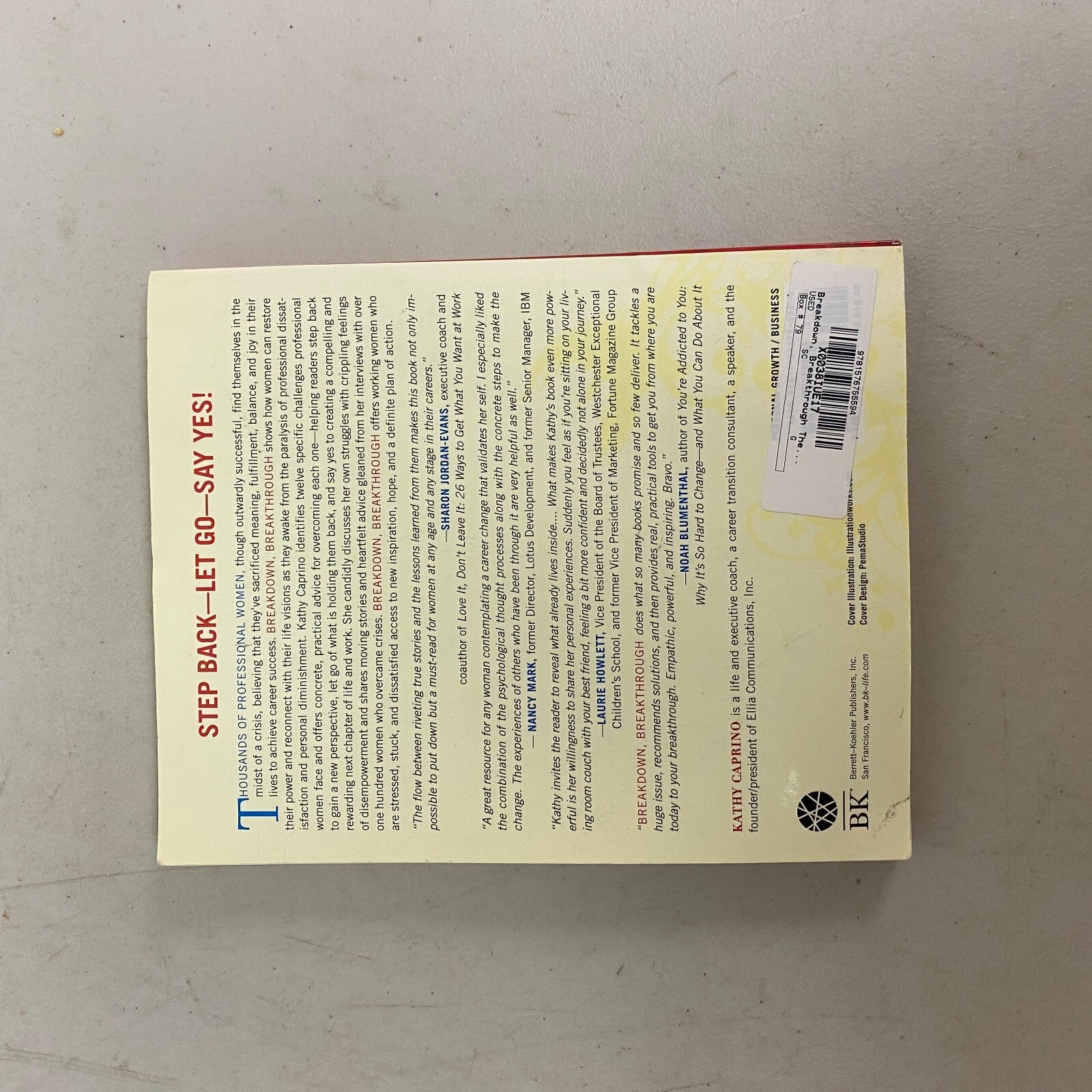 Breakdown, Breakthrough : The Professional Woman's Guide to Claiming a Life