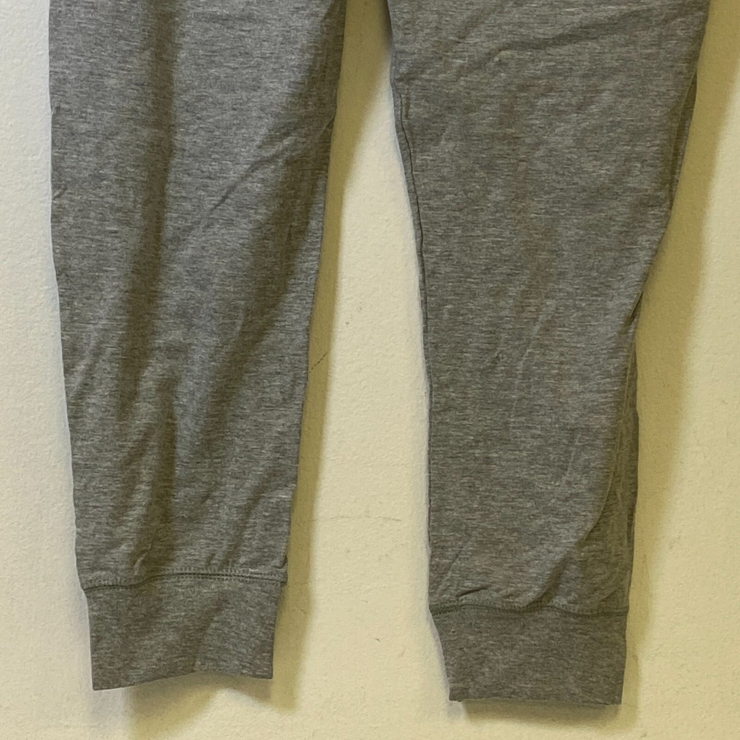 Champion Authentic Athletic Wear Jogging Pants Size Large Color Silver