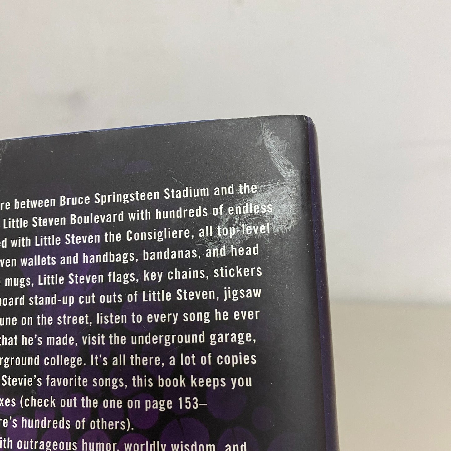 Stevie Van Zandt's Unrequited Infatuations: A Memoir Hard Cover