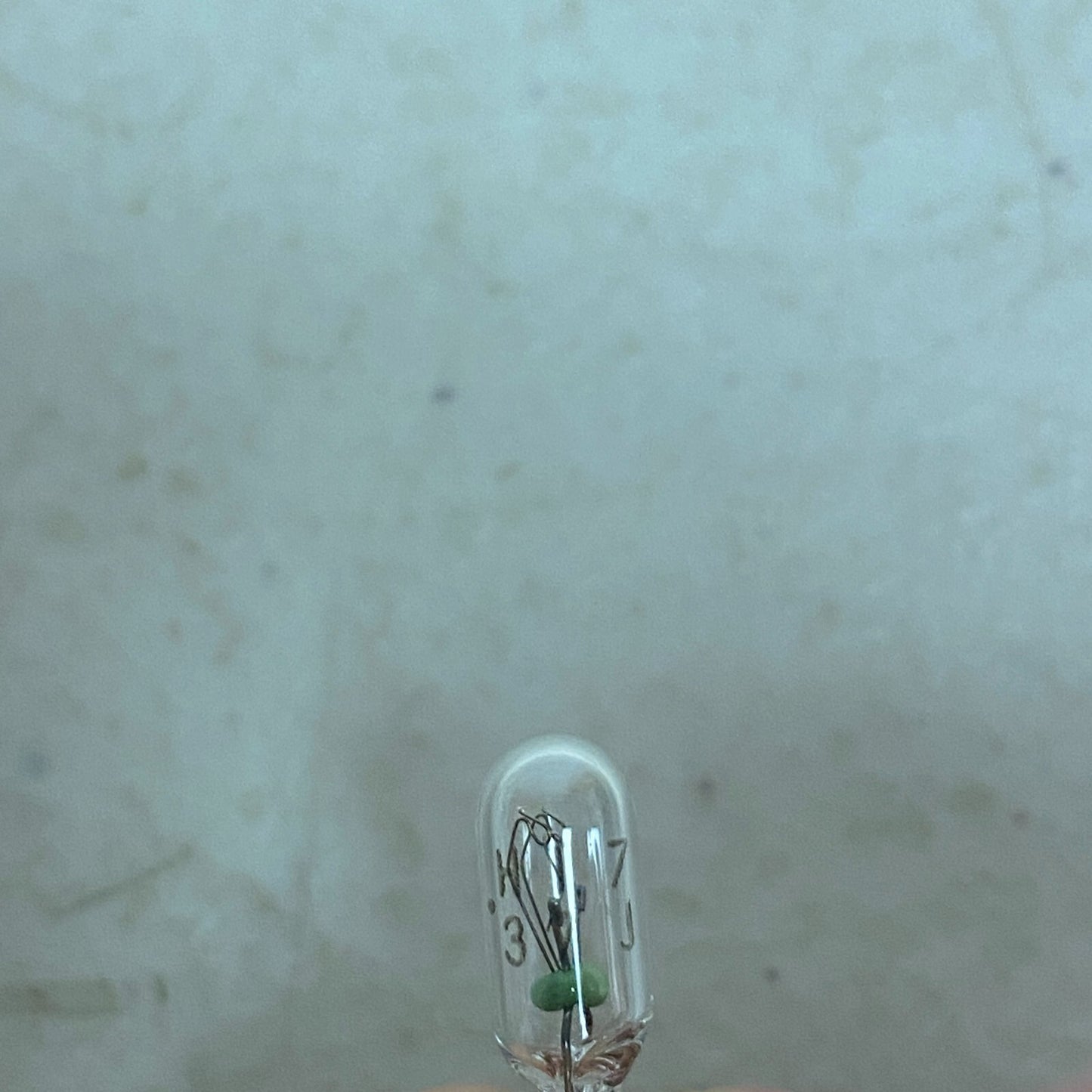 Ford Genuine OEM Bulb 5C3Z-13466-A (13 pack) , #586-1CP