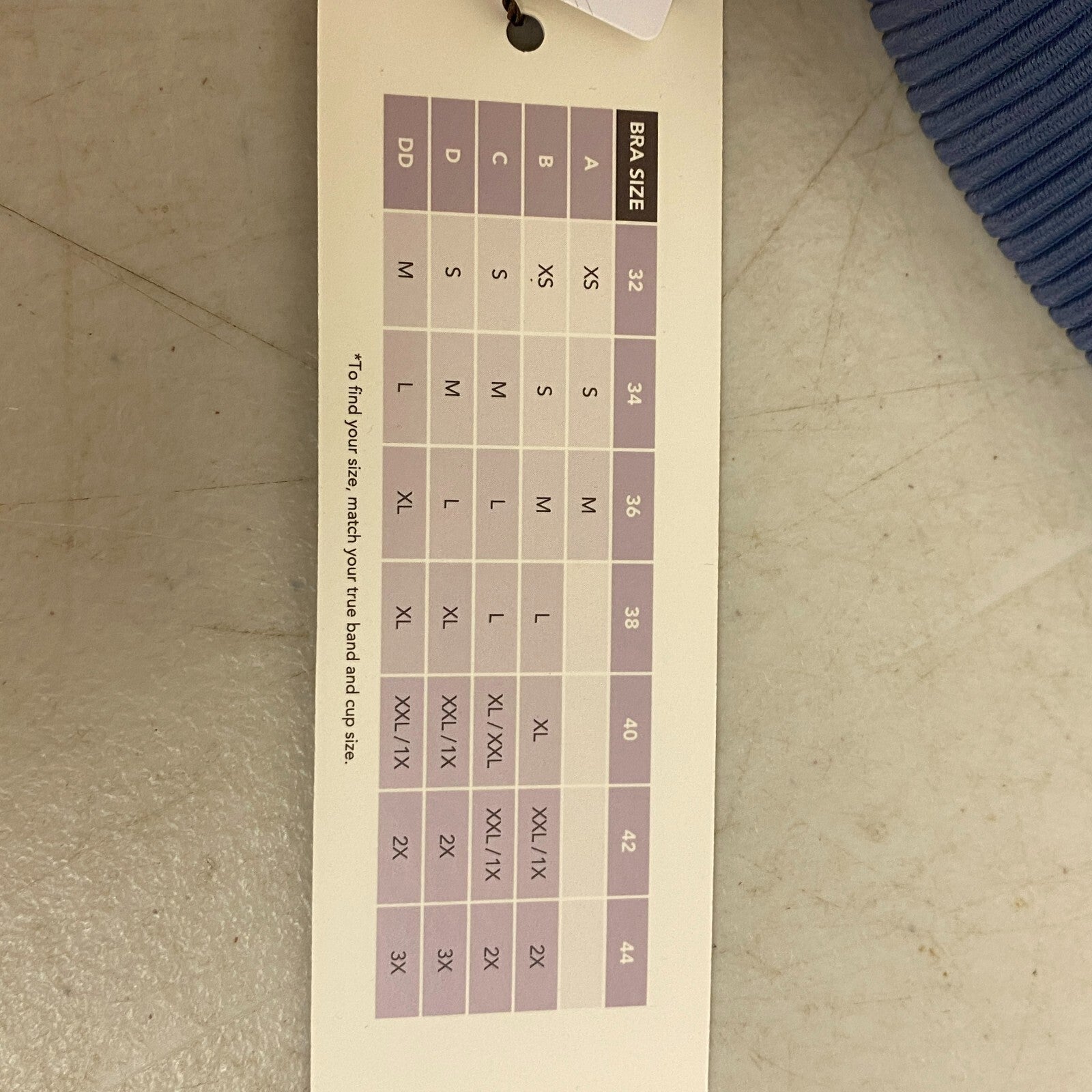 Calia Women's Seamed Square Neck Top Darker Ardosia Slate WSA23209R