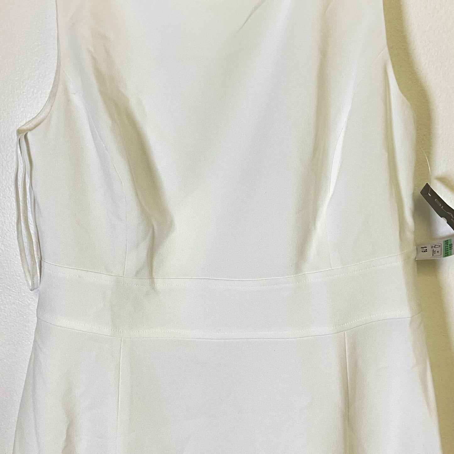 Black Label By Evan-Picone Sleeveless Fit+Flare Dress Size 8 Color Natural White