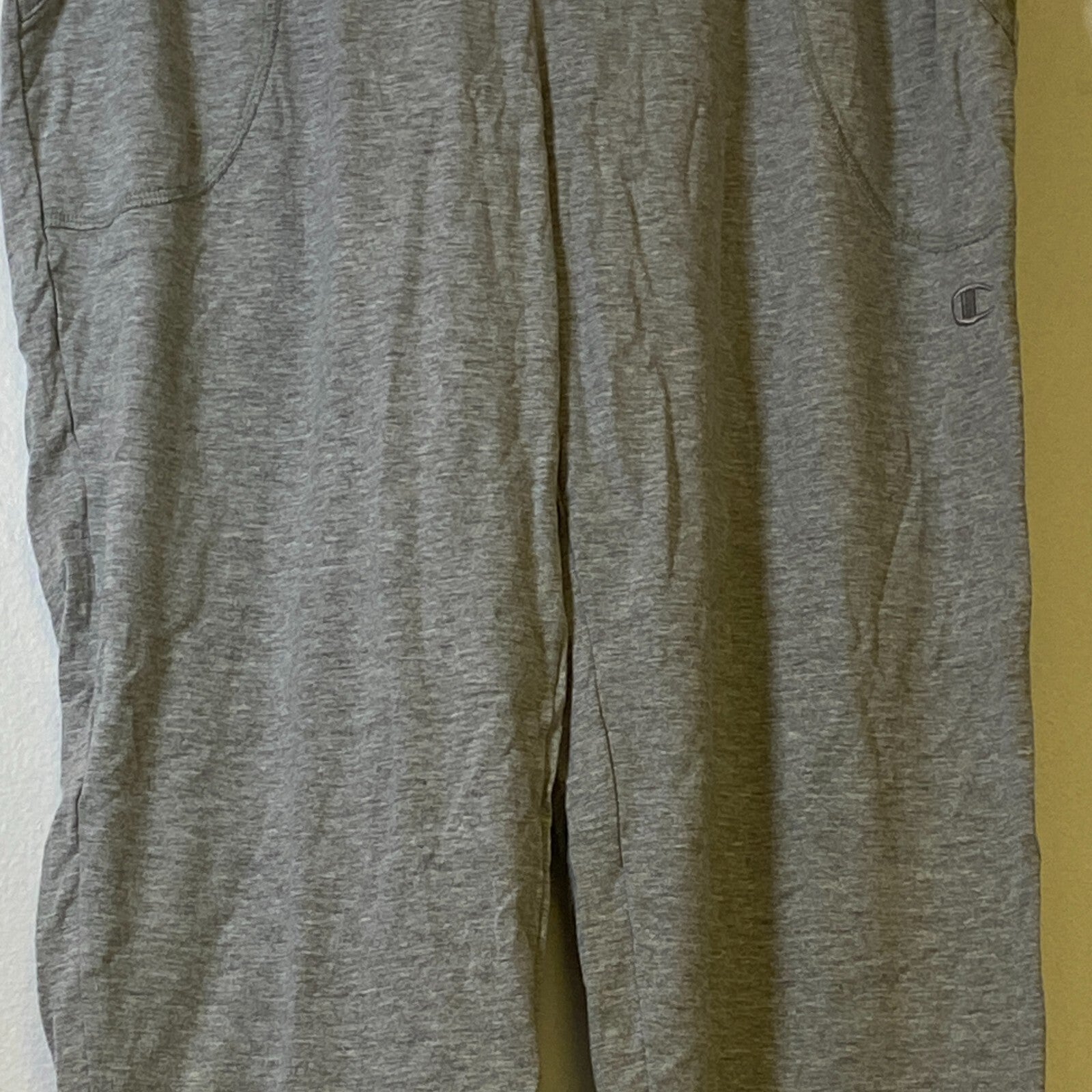 Champion Authentic Athletic Wear Jogging Pants Size Large Color Silver