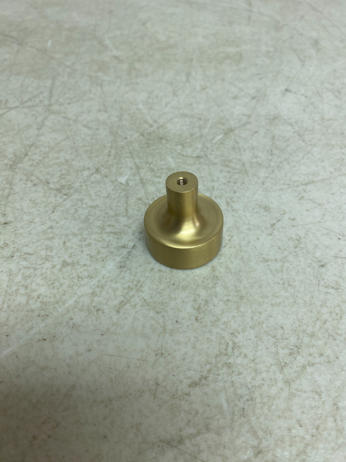 Signature Hardware 1-1/4" Colmar Brass Cabinet Knob - Satin Brass