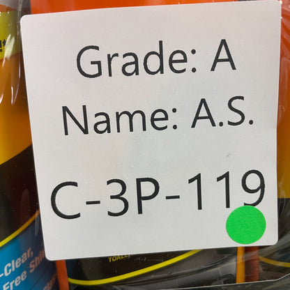Armor All Protectant Glass and Cleaning Wipes Wipes Car Interior/Exterior 3 Pack