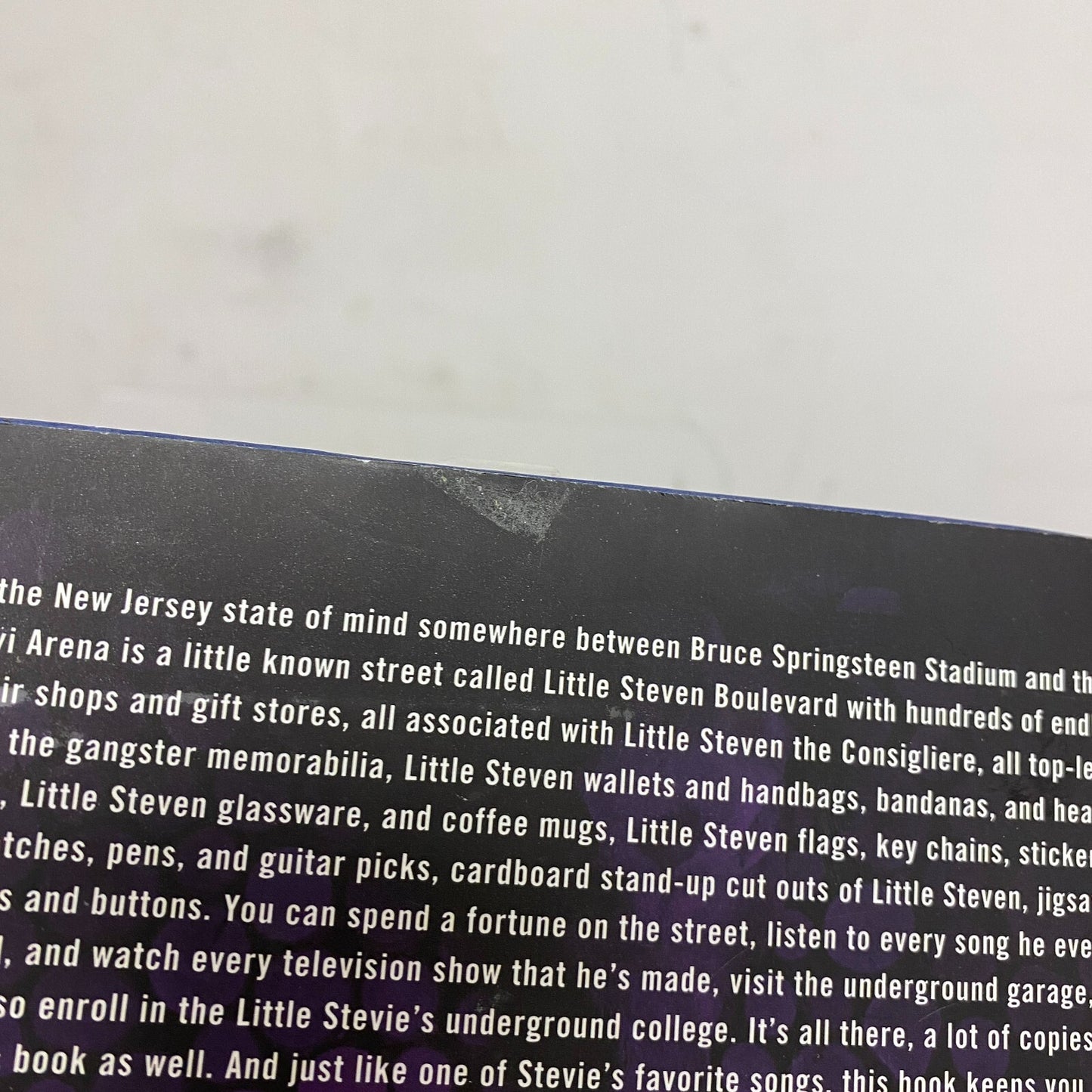 Stevie Van Zandt's Unrequited Infatuations: A Memoir Hard Cover