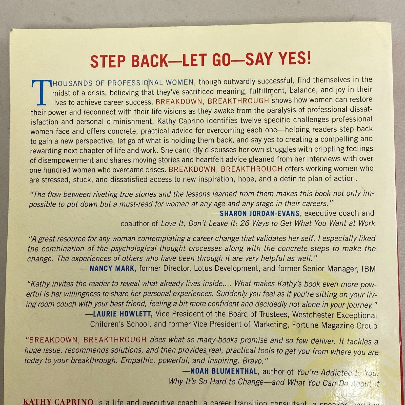 Breakdown, Breakthrough : The Professional Woman's Guide to Claiming a Life