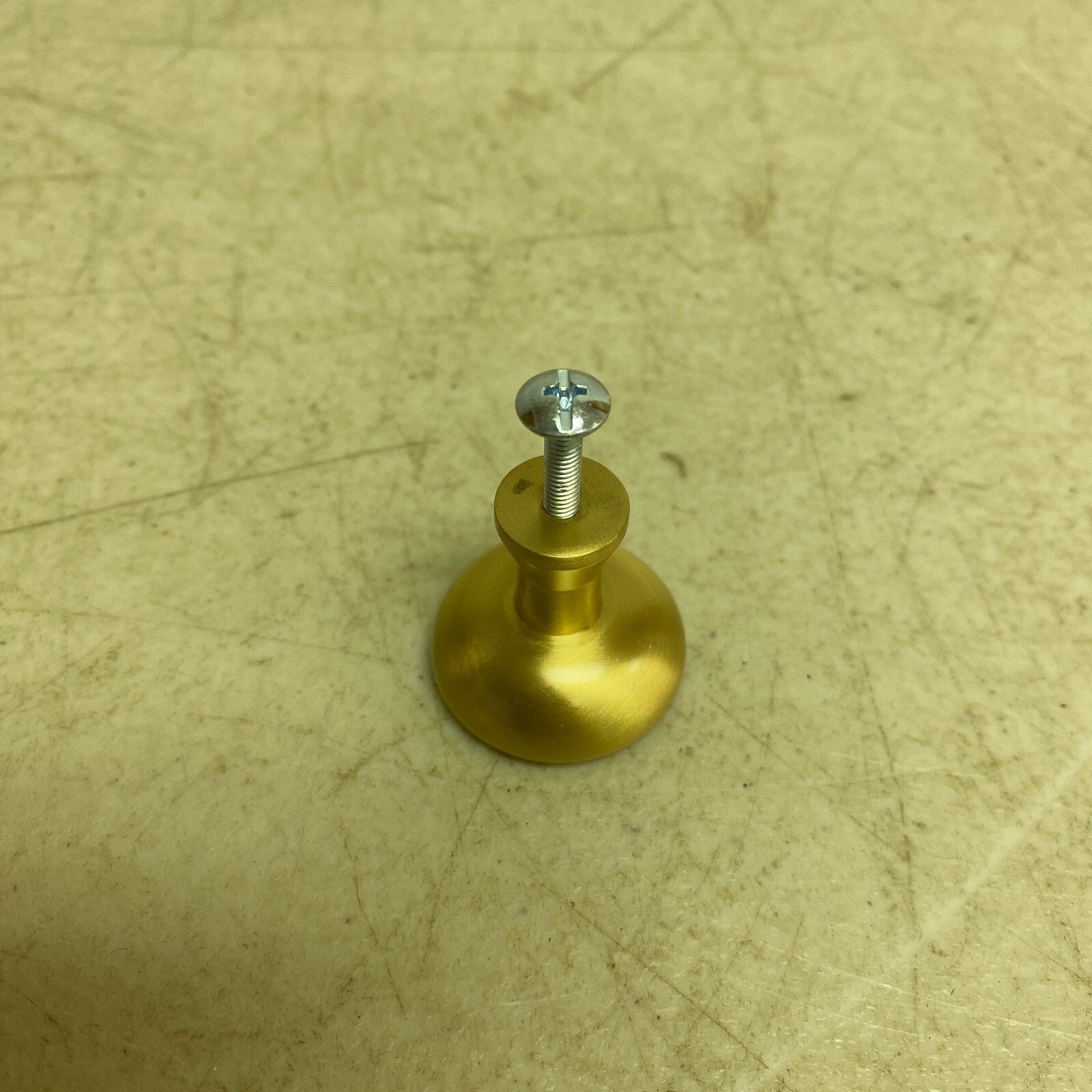 Signature Hardware 1-1/4" Strasbourg Brass Cabinet Knob - Satin Brass