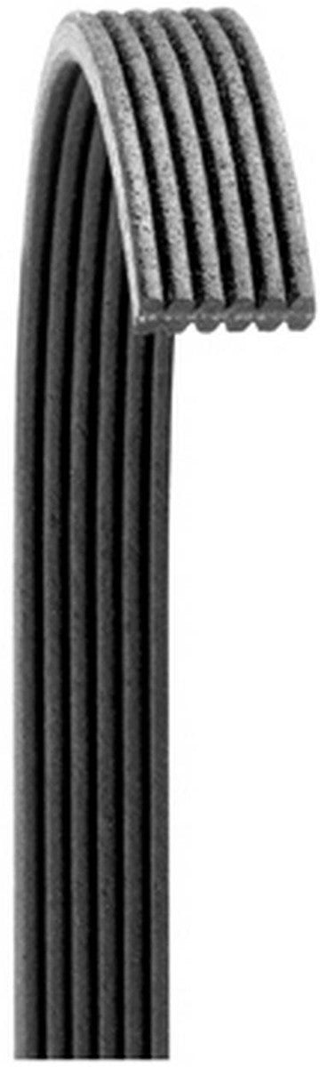 Dayco Double-Sided Serpentine Belt 5-Rib 61.02 Inch Length Model 6050610