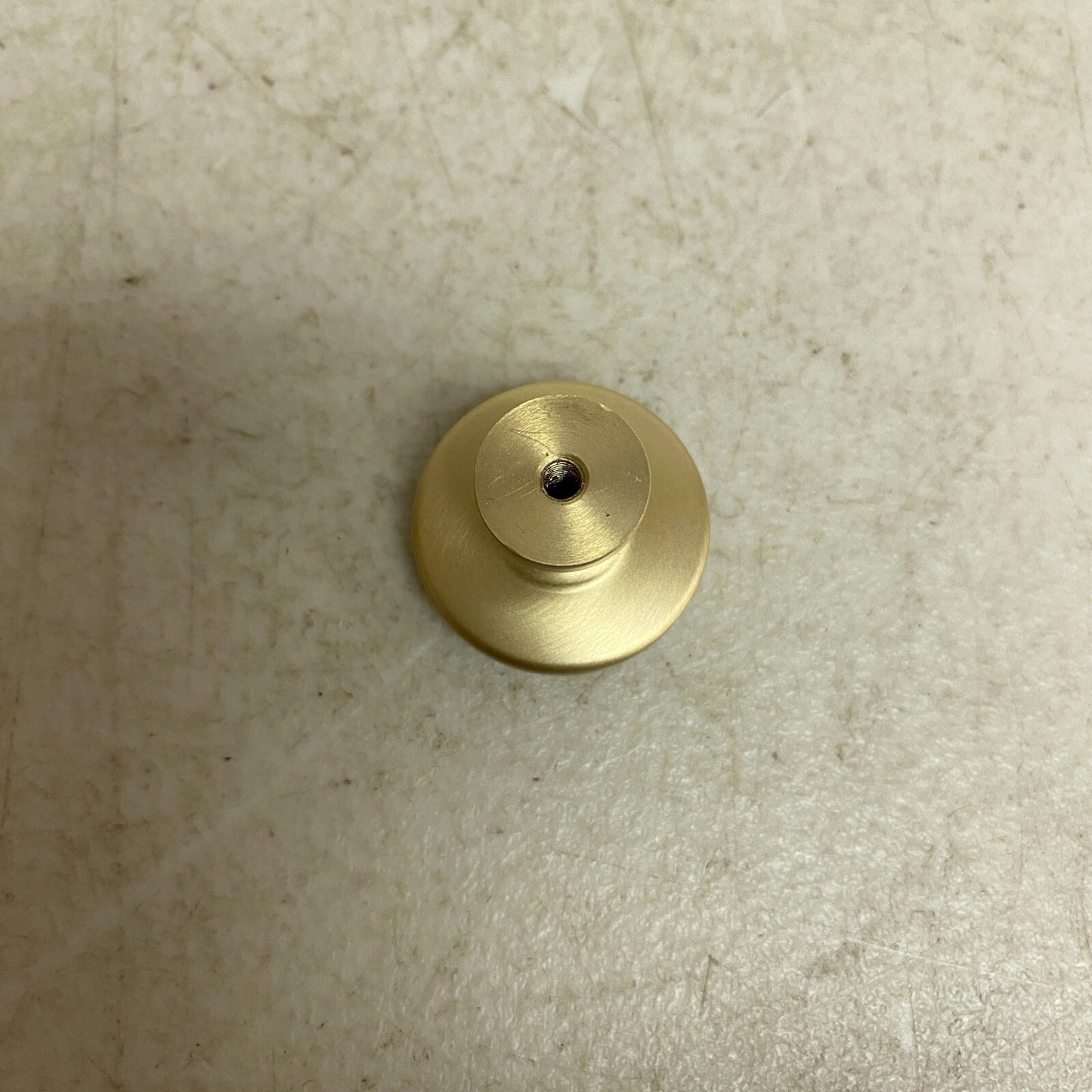 Signature Hardware Ardell Brass Round Cabinet Knob - Satin Brass