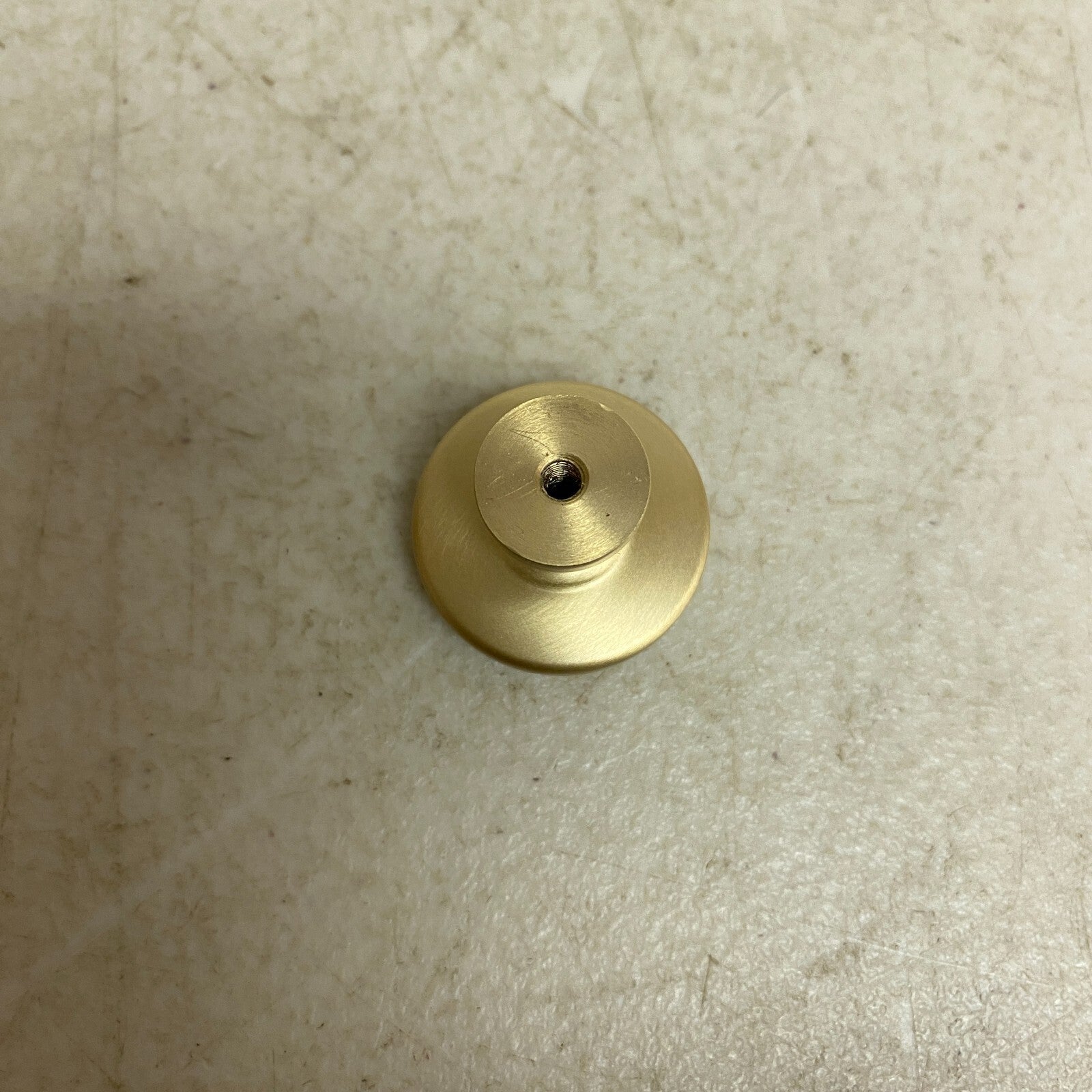 Signature Hardware Ardell Brass Round Cabinet Knob - Satin Brass