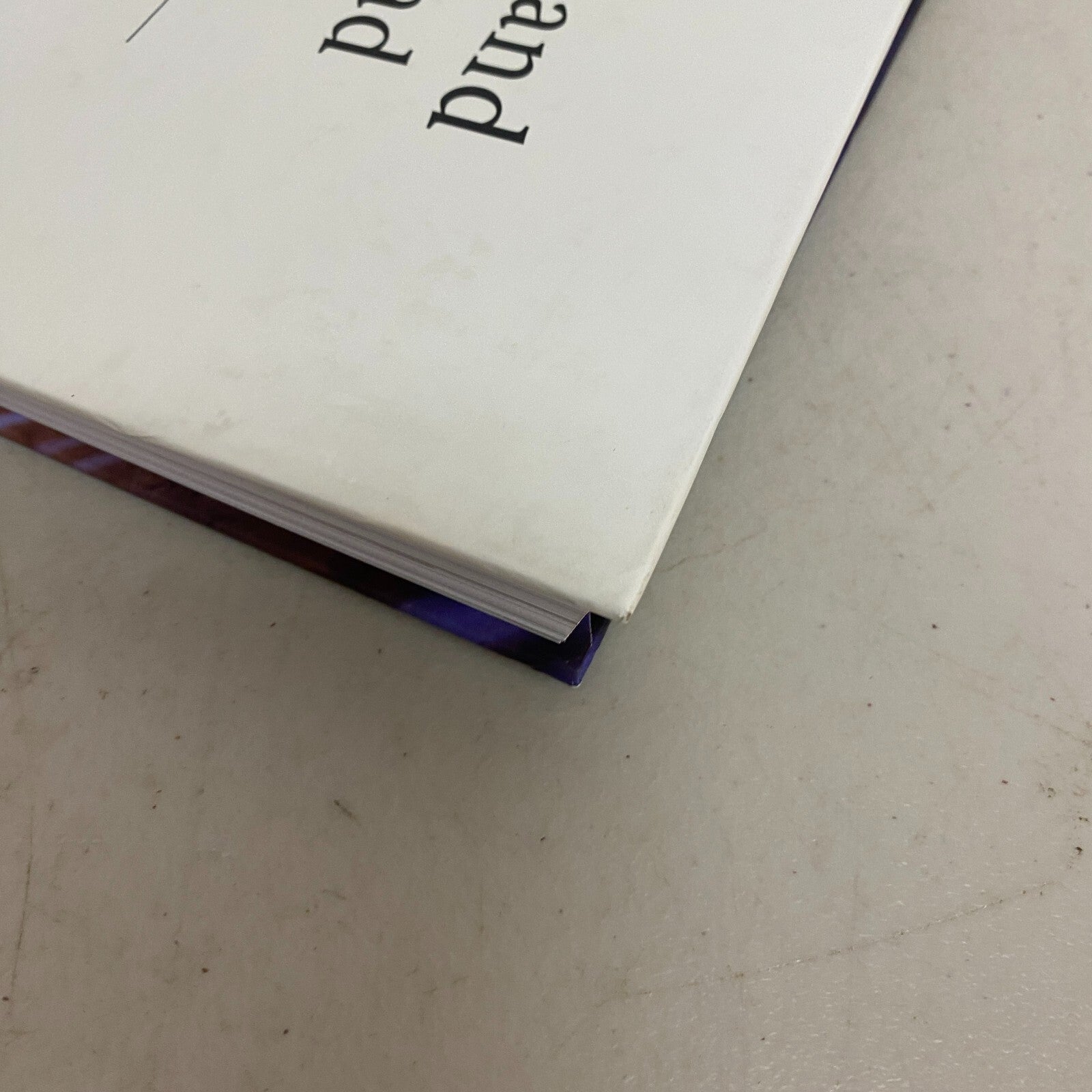 BONE SOUP AND FLIPPED BREAD: THE YEMENITE JEWISH KITCHEN By Sue Spertus Larkey