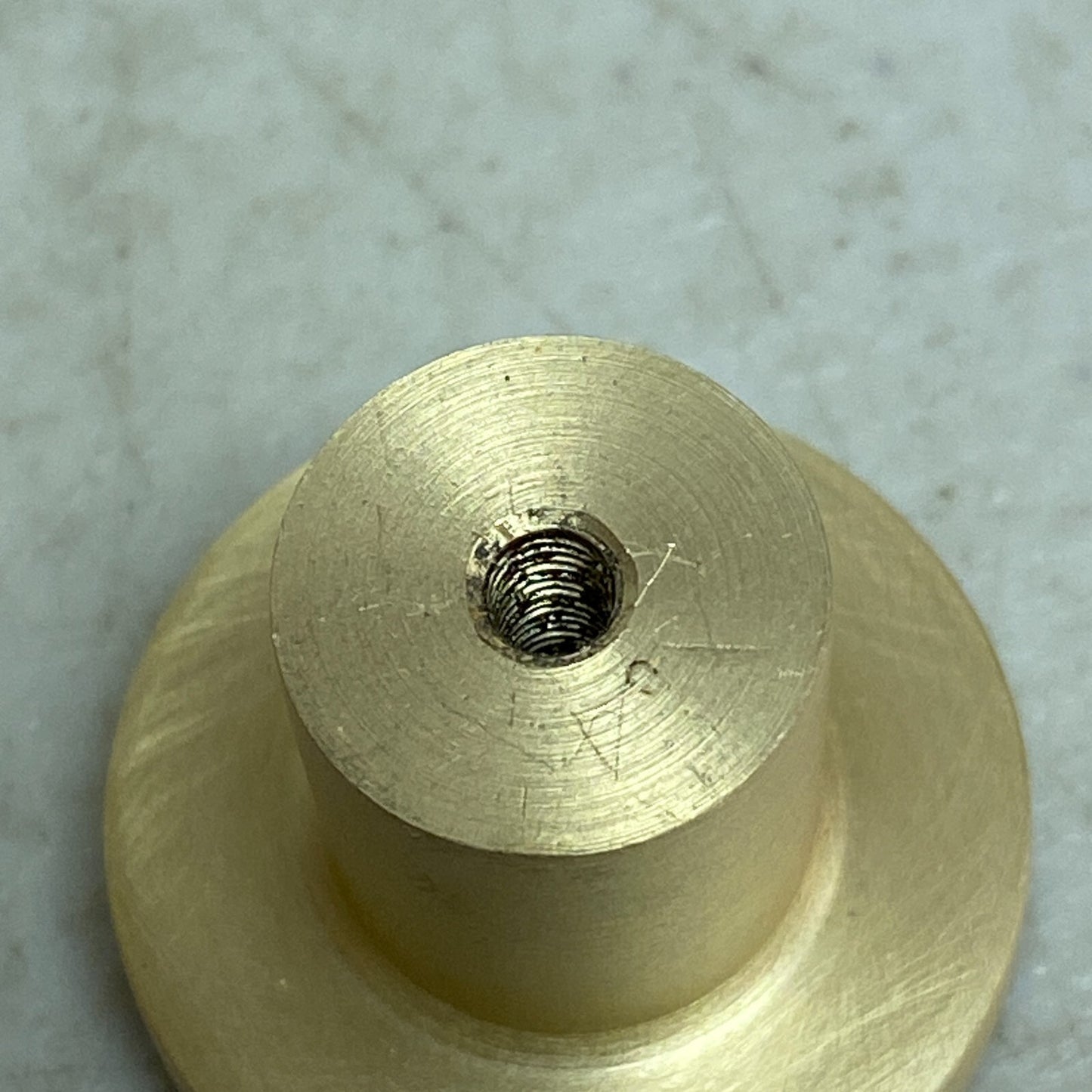 Signature Hardware ORVIN BRASS FLAT ROUND CABINET KNOB-SATIN BRASS