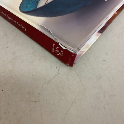 BONE SOUP AND FLIPPED BREAD: THE YEMENITE JEWISH KITCHEN By Sue Spertus Larkey