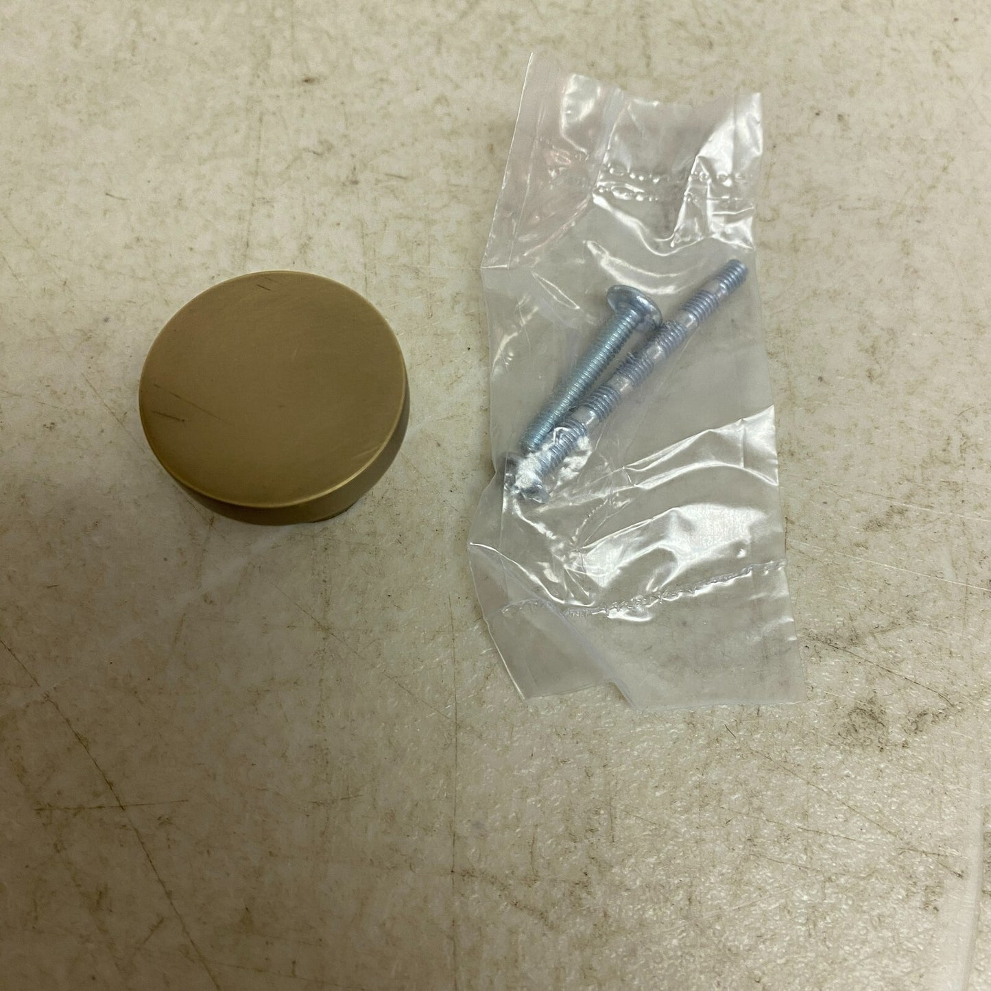 SIGNATURE HARDWARE Orvin Solid Brass Cabinet Knob SH551073AB