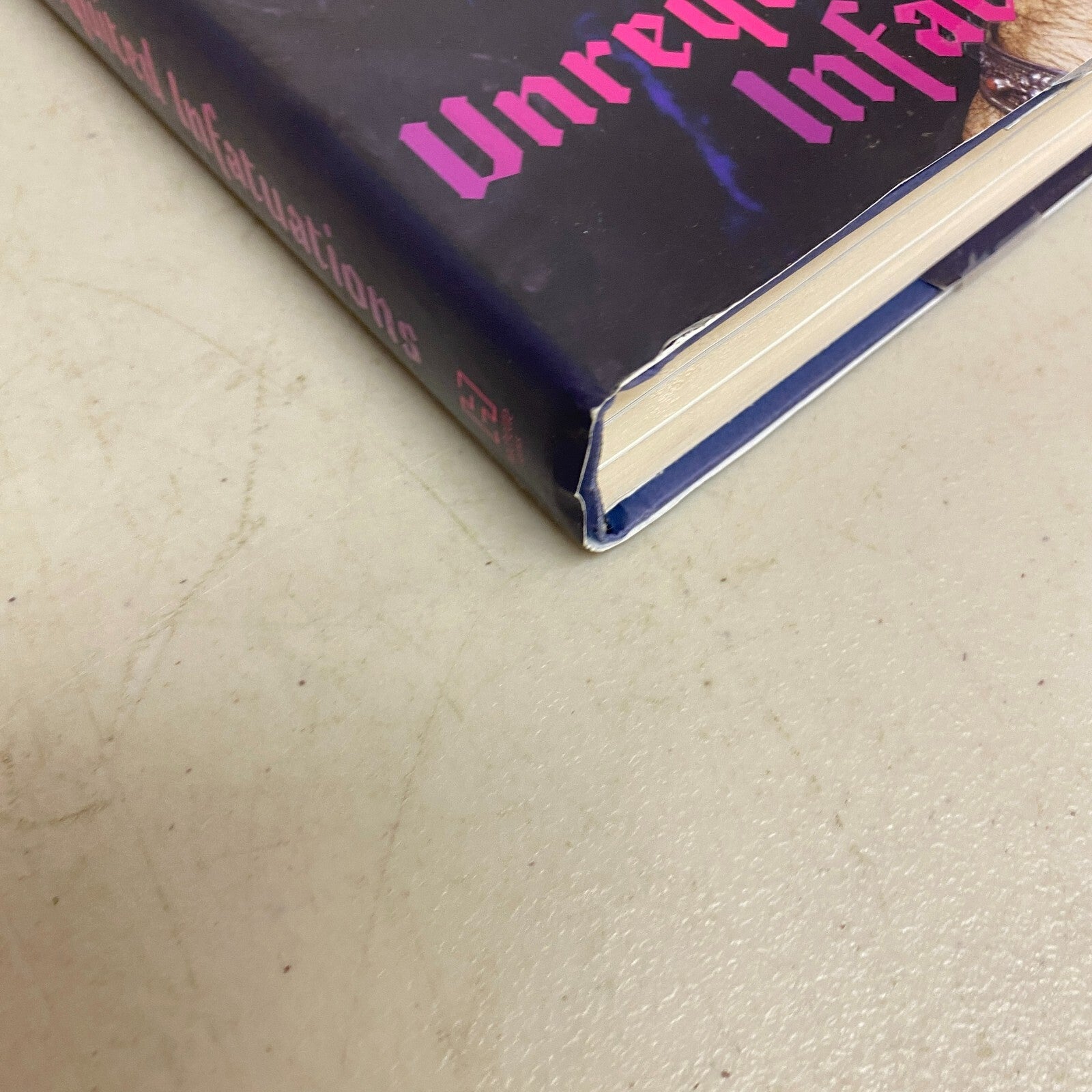 Stevie Van Zandt's Unrequited Infatuations: A Memoir Hard Cover