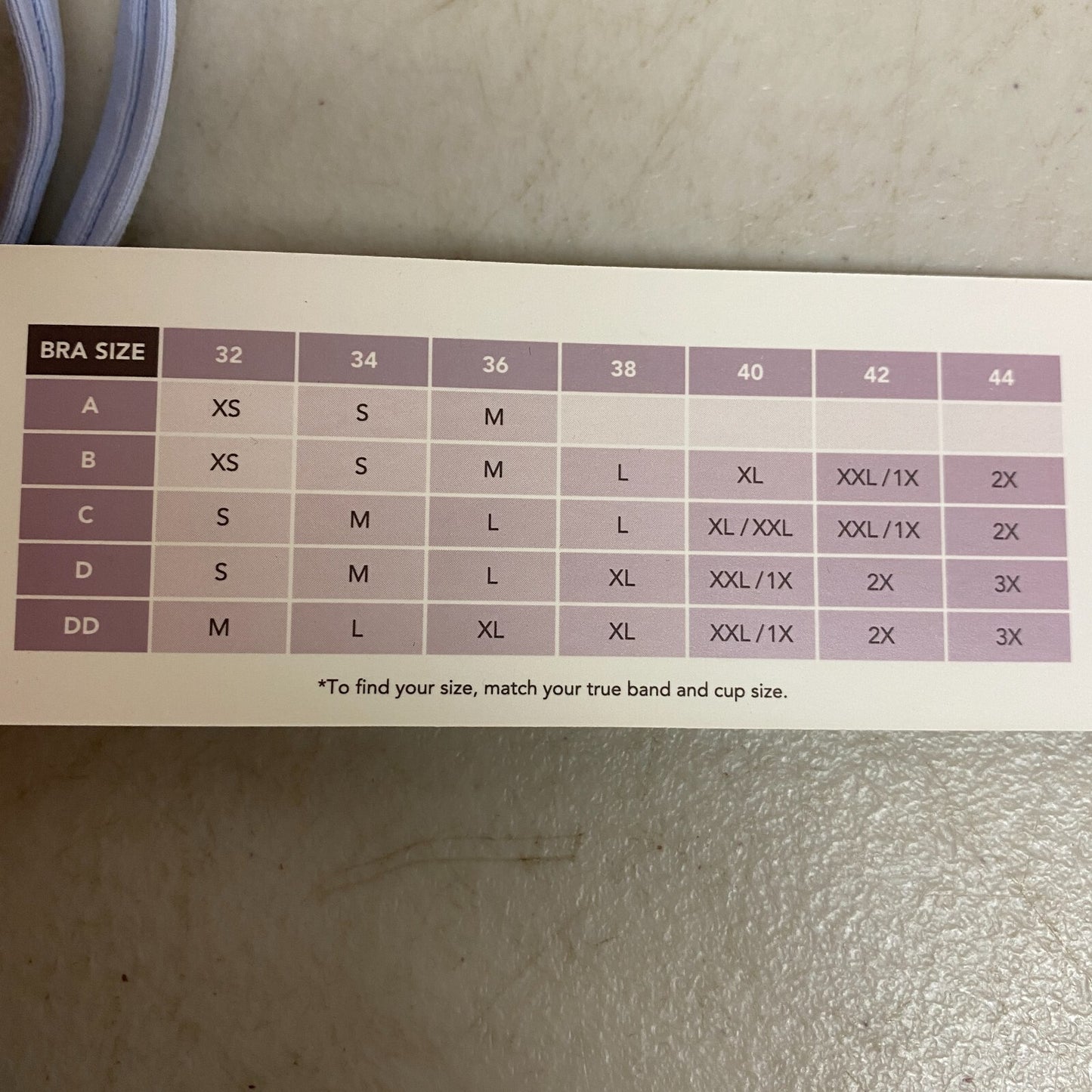 Calia Women's Swim Collection Low Support Tie Back Bikini Top Blue WSA22215 New