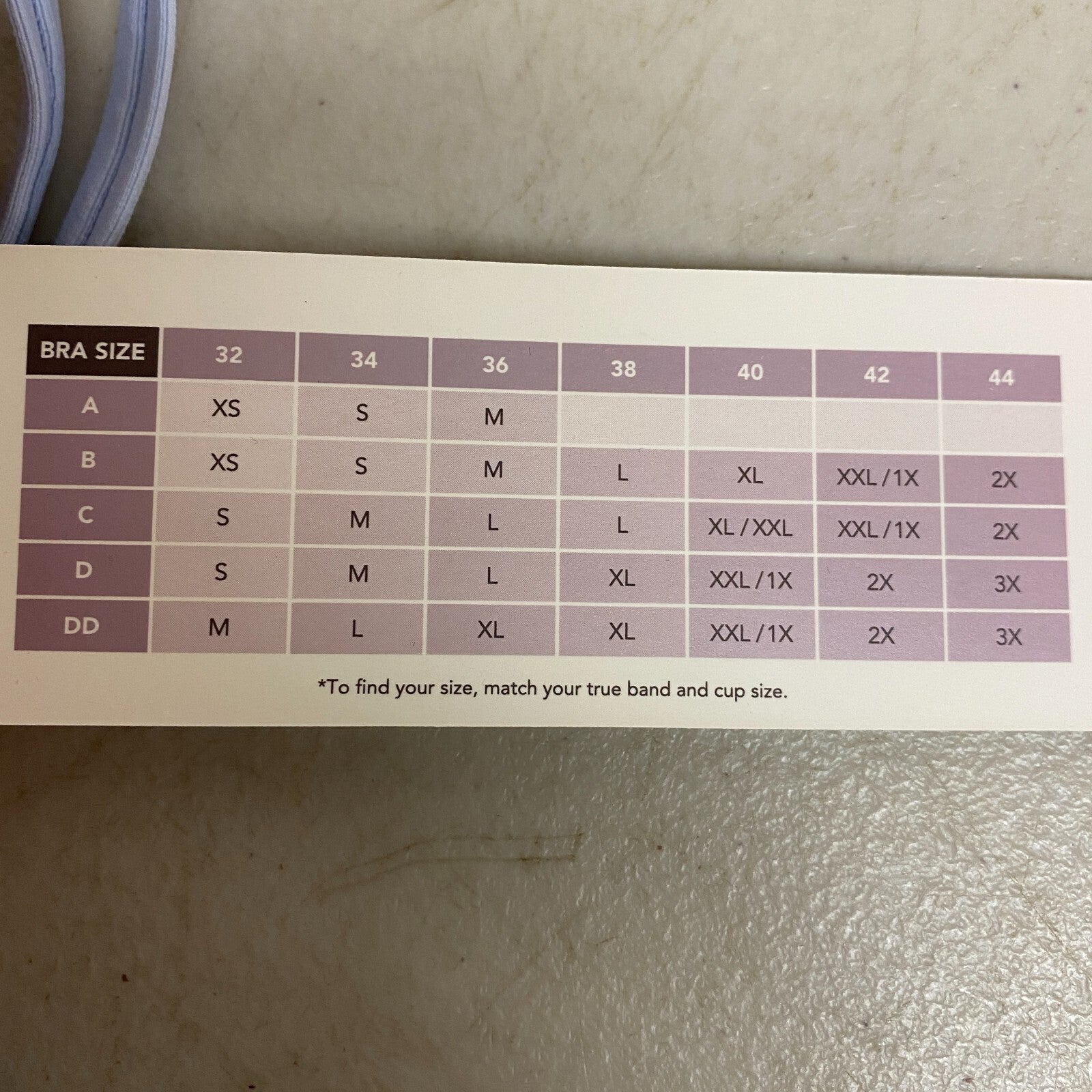 Calia Women's Swim Collection Low Support Tie Back Bikini Top Blue WSA22215 New