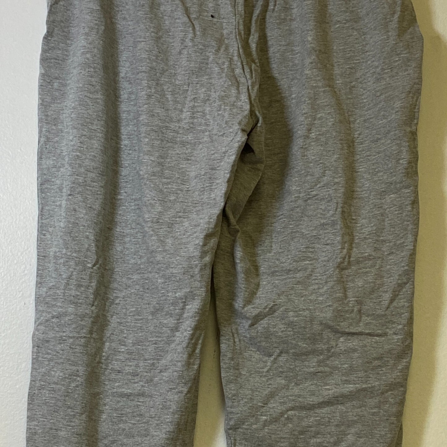 Champion Authentic Athletic Wear Jogging Pants Size Large Color Silver