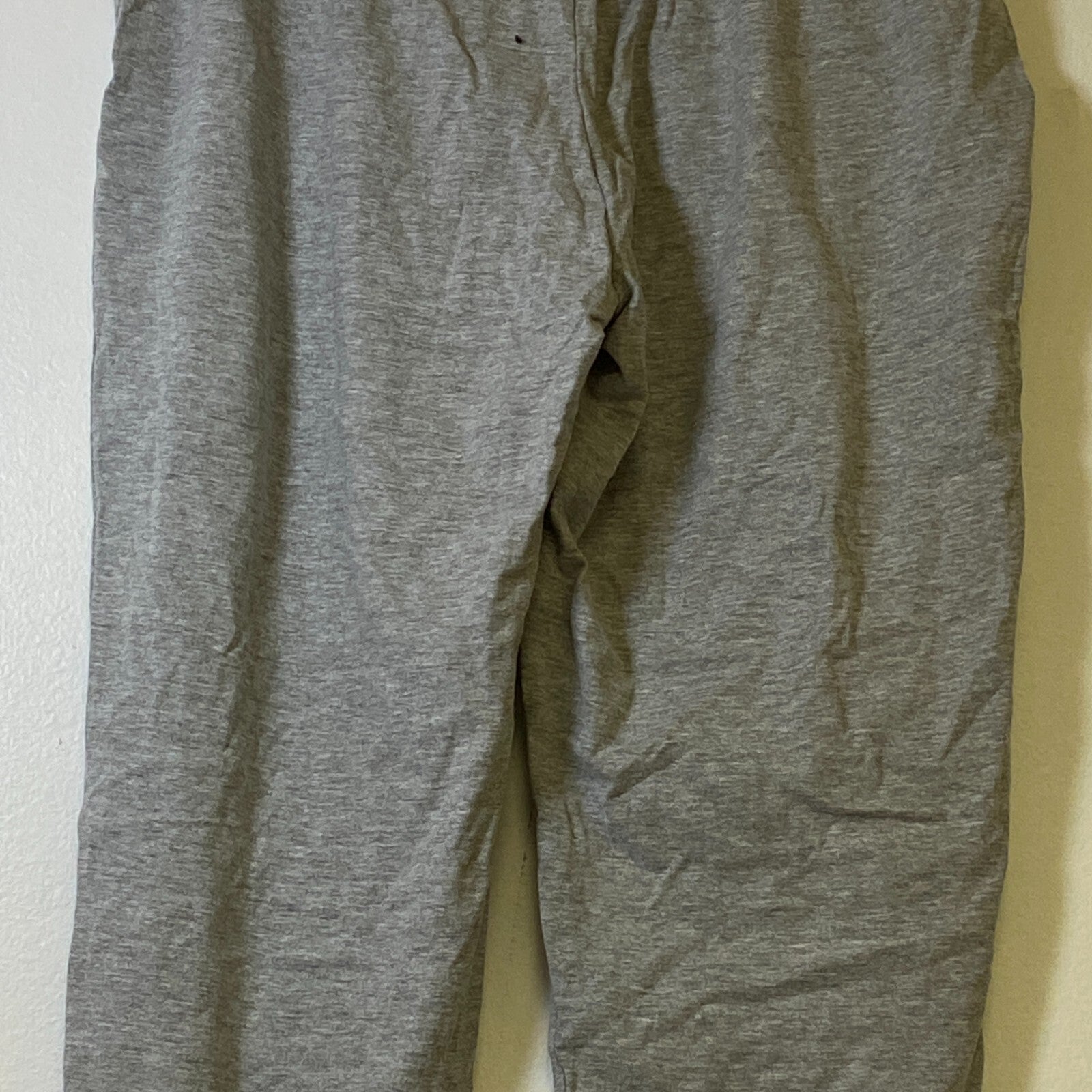 Champion Authentic Athletic Wear Jogging Pants Size Large Color Silver