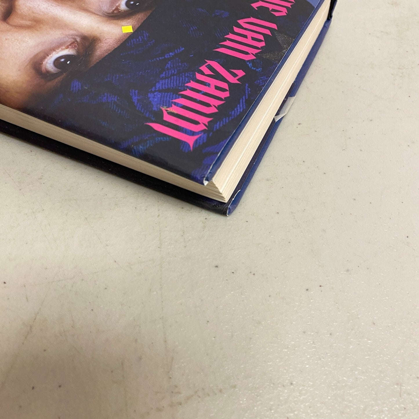 Stevie Van Zandt's Unrequited Infatuations: A Memoir Hard Cover