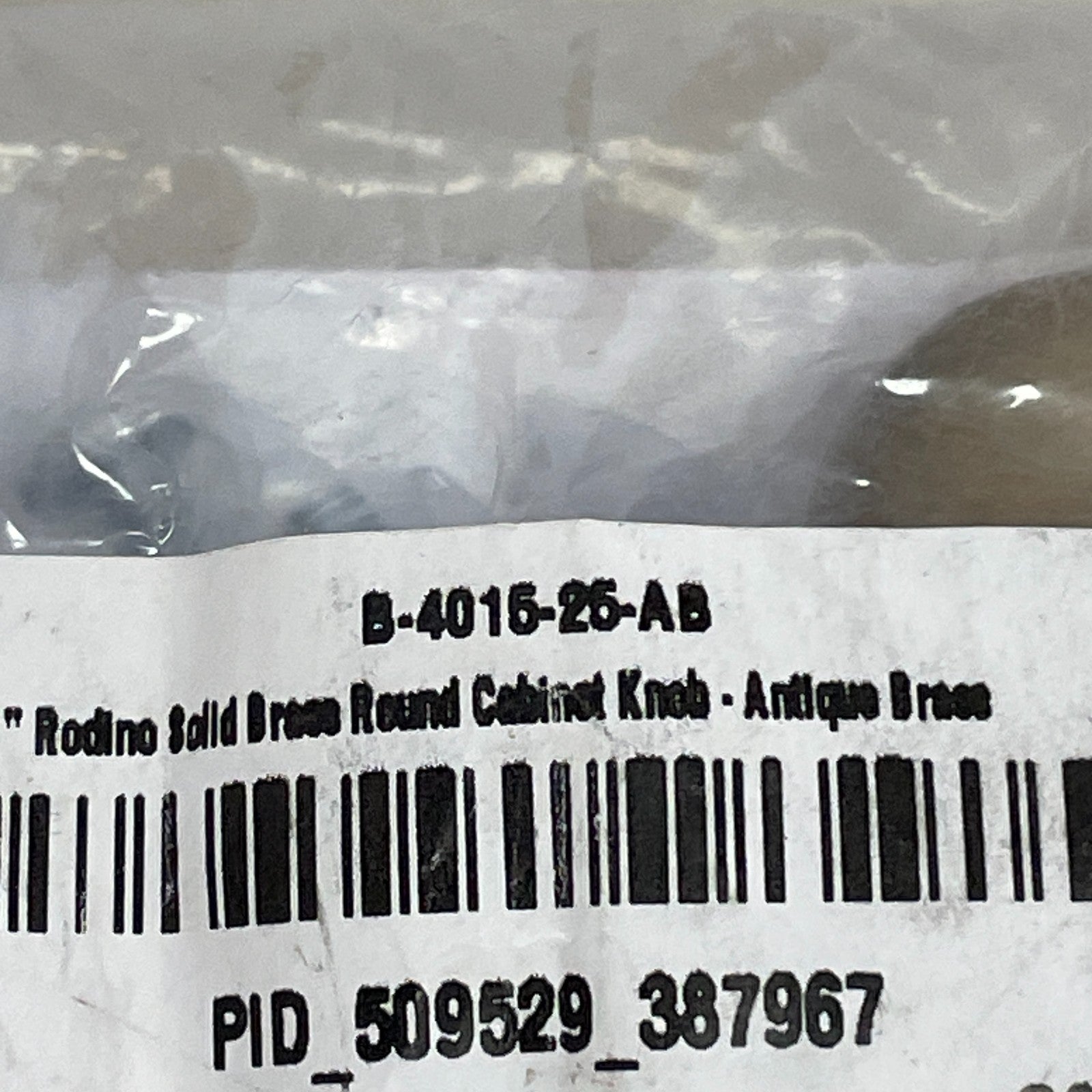 Signature Hardware Rodino 1" Solid Brass Round Cabinet Knob SH946678