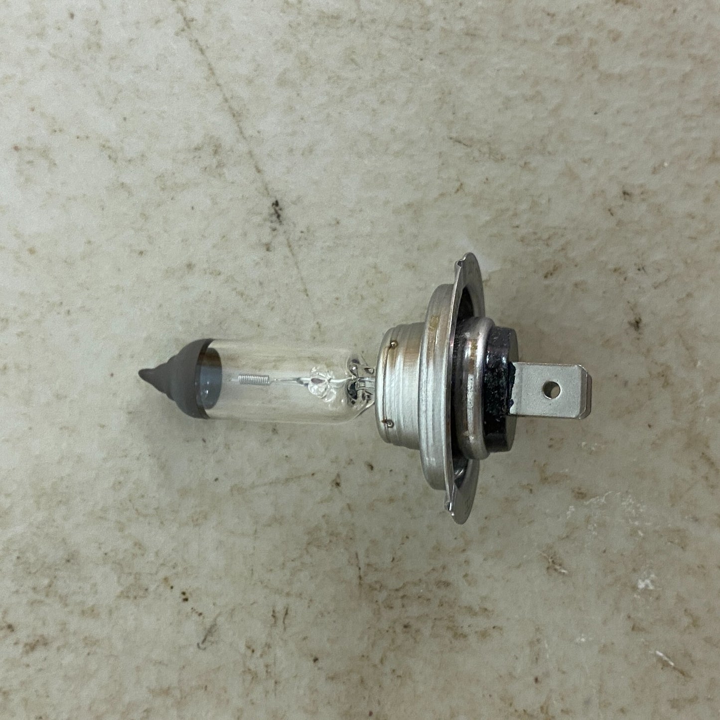 CEC Halogen Light Bulb H7 PX26d  12V , 55W , Brand New!