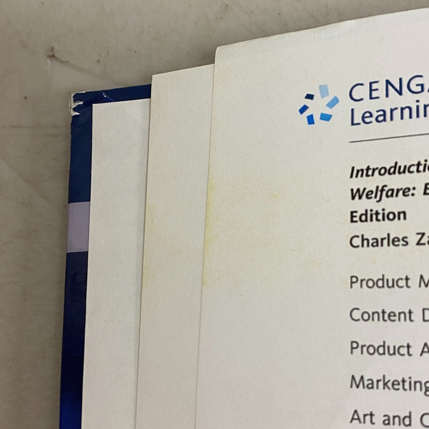 Empowerment Series: Introduction to Social Work and Social Welfare: Empowering P