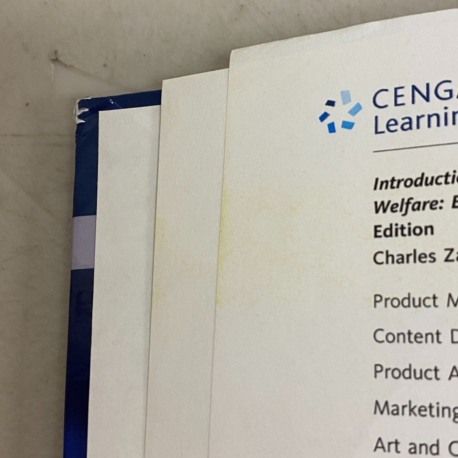 Empowerment Series: Introduction to Social Work and Social Welfare: Empowering P