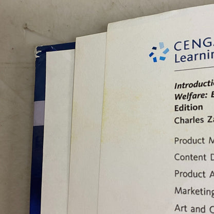 Empowerment Series: Introduction to Social Work and Social Welfare: Empowering P