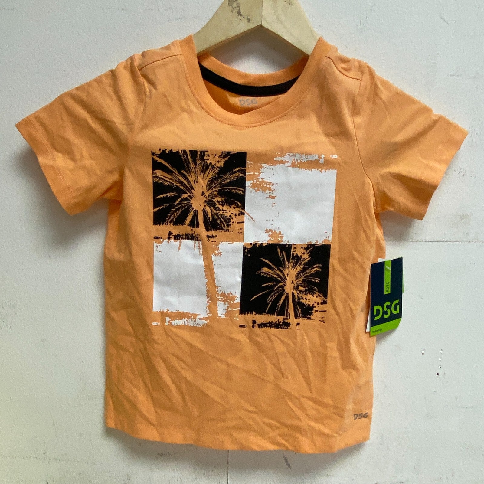 DSG Youth Graphic Tee Fresh Melon Palm Tree Chk DAB21108 BRAND NEW
