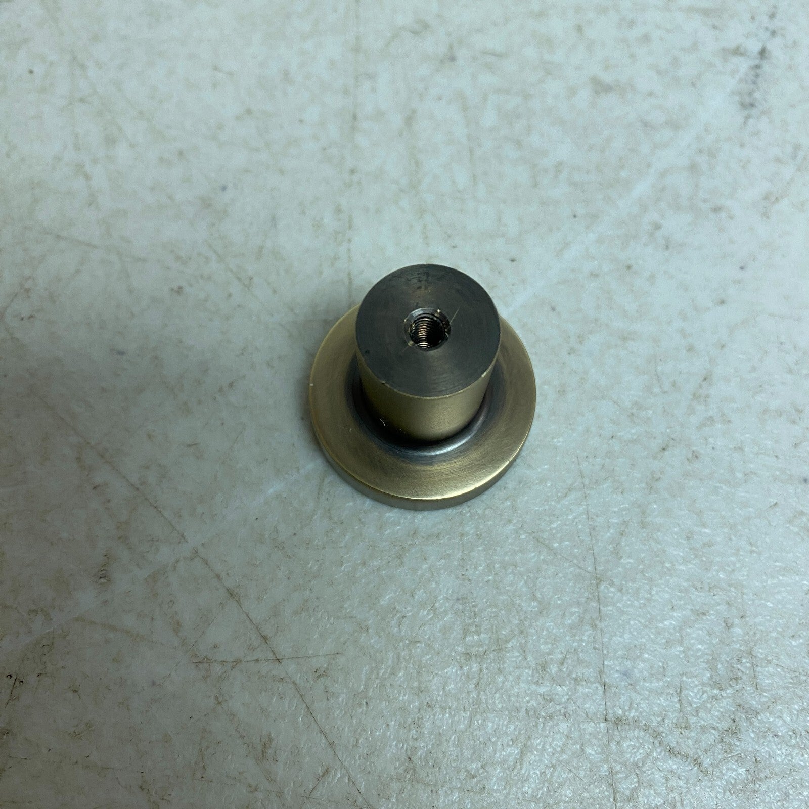 SIGNATURE HARDWARE Orvin Solid Brass Cabinet Knob SH551073AB