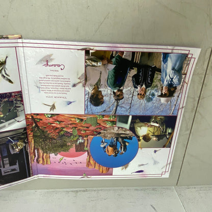 Caamp - Lavender Days - Rock - Vinyl - Mom+Pop