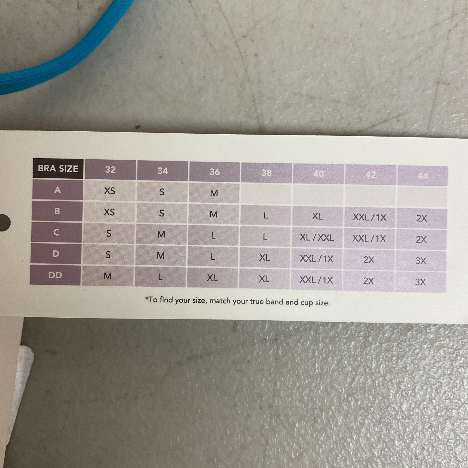 Calia Women's Swim Collection Low Support Tie Back Bikini Top Lake Blue WSA22215