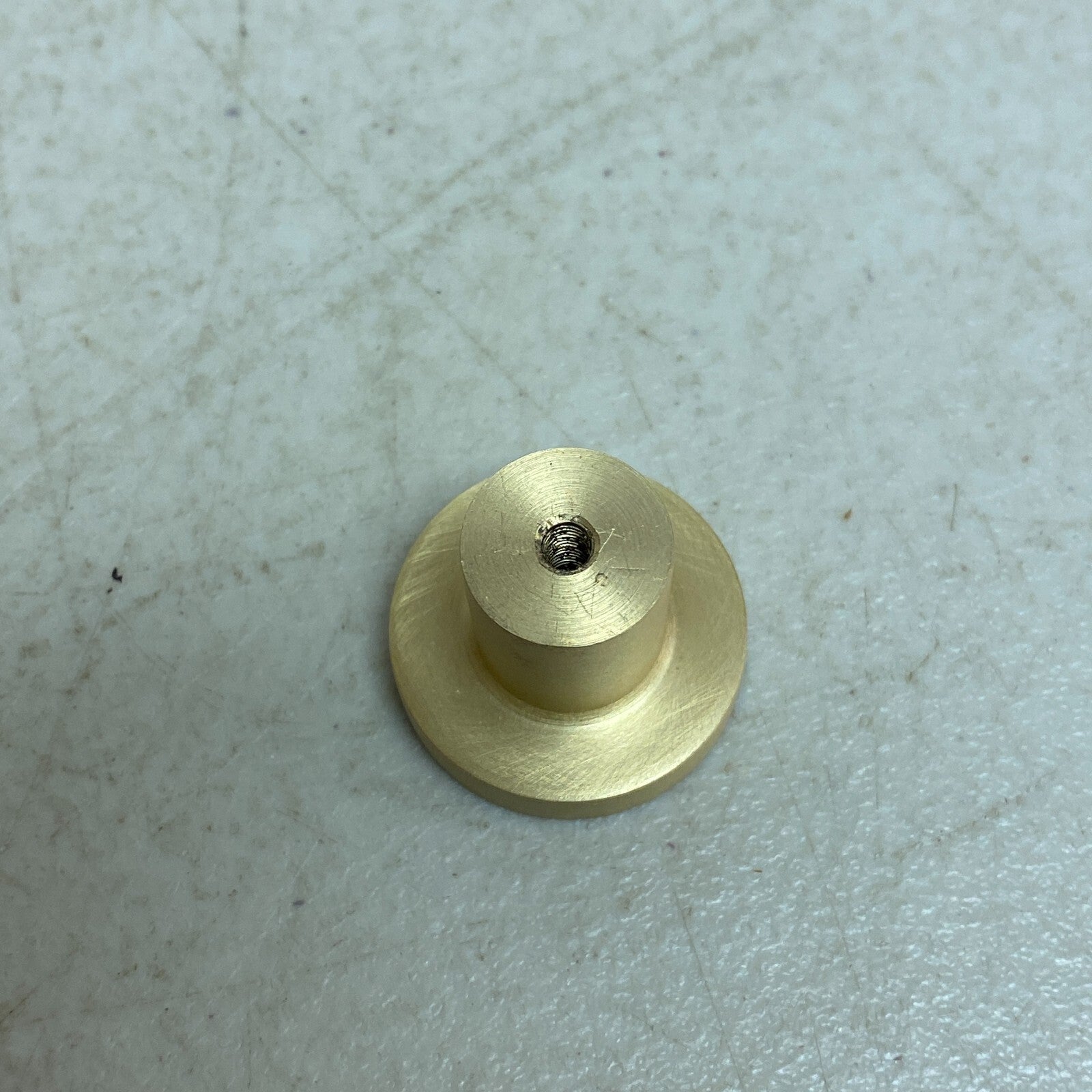 Signature Hardware ORVIN BRASS FLAT ROUND CABINET KNOB-SATIN BRASS