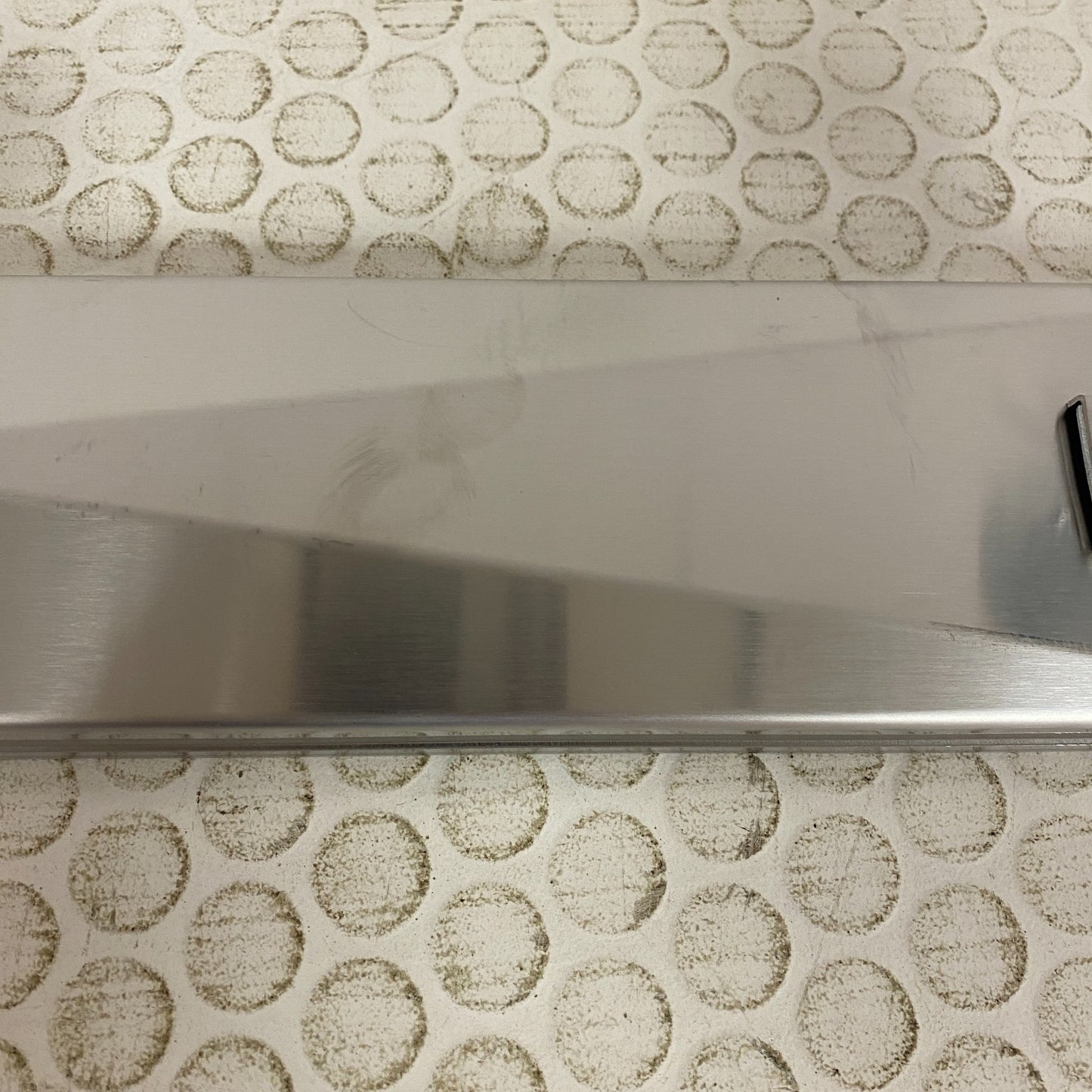 Signature Hardware 24" Carmen Linear Shower Drain Polished Stainless Steel
