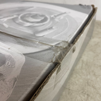 Carquest YH200941 Rear Brake Rotor Disc for BMW 750i 750Li 760Li 2005-2008