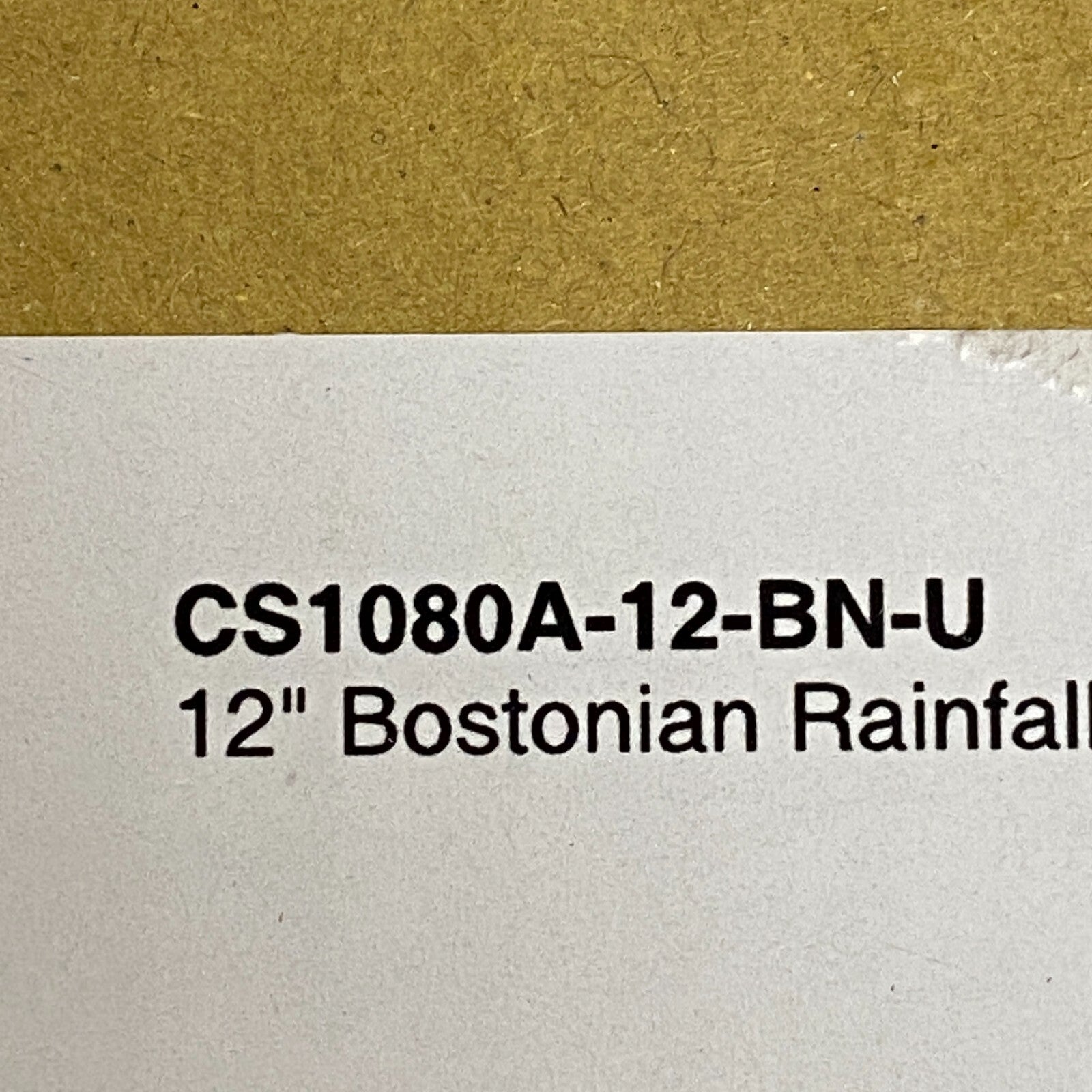 Signature Hardware 12" Bostonian Rainfall Nozzle Shower Head - Chrome