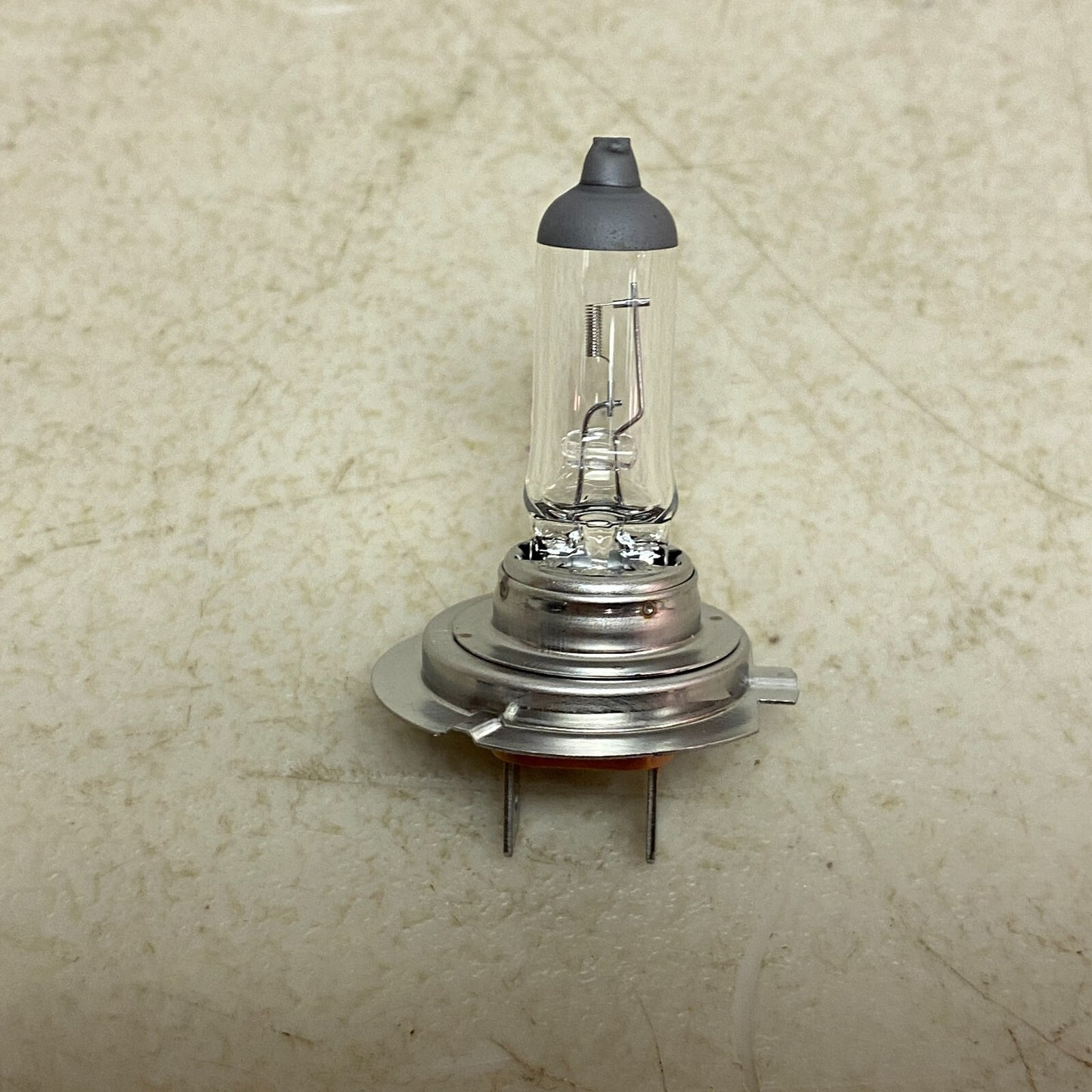 Philips Halogen H7 Bulb 2-3WIZ-13N021BA Brand New!